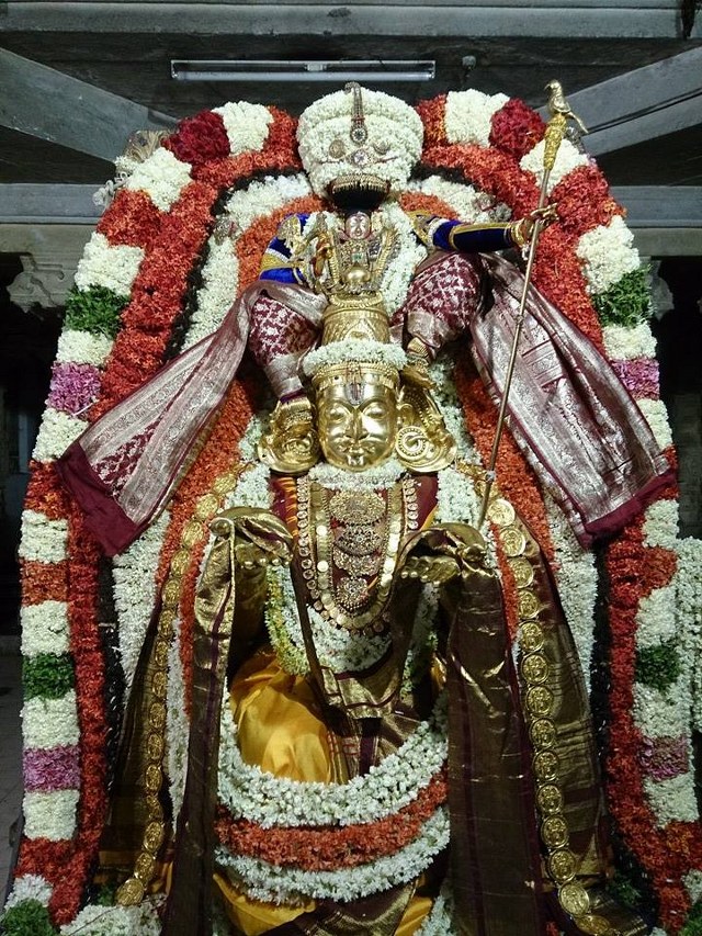 Thiruvahindrapuram Chithirai Brahmotsavam Garuda Sevai 2014 -07