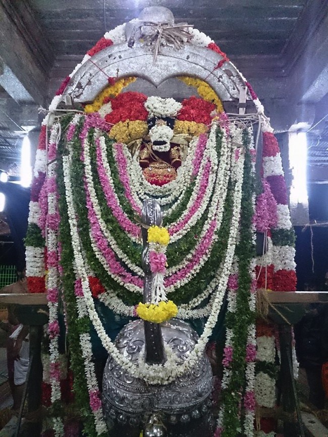 Thiruvahindrapuram Chithirai Brahmotsavam Simha Vahanam 2014--02