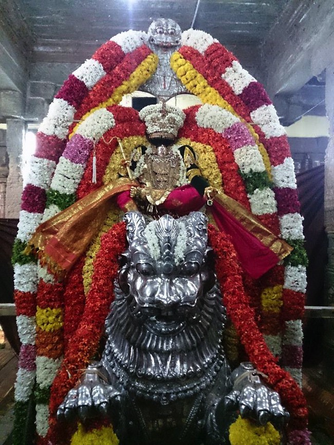 Thiruvahindrapuram Chithirai Brahmotsavam Simha Vahanam 2014--03