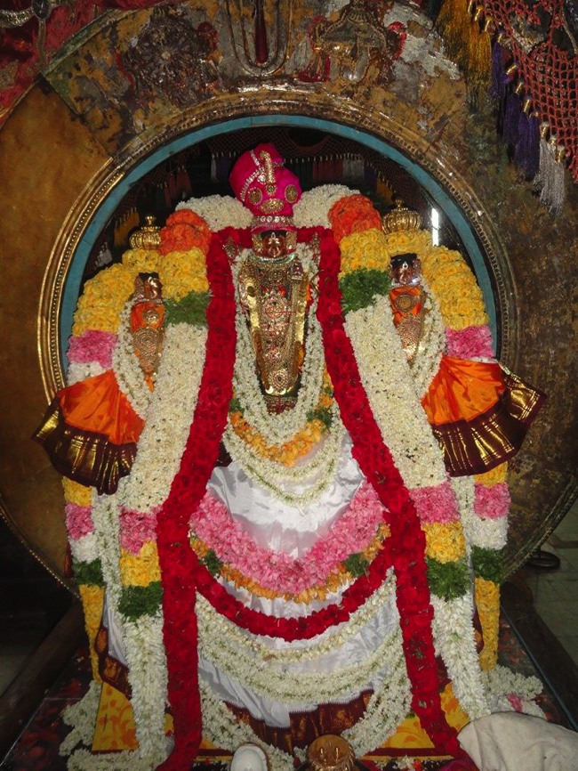 Thiruvahindrapuram Chithirai Brahmotsavam Surya prabhai 2014--00