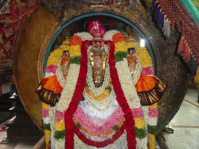 Thiruvahindrapuram Chithirai Brahmotsavam Surya prabhai 2014--01