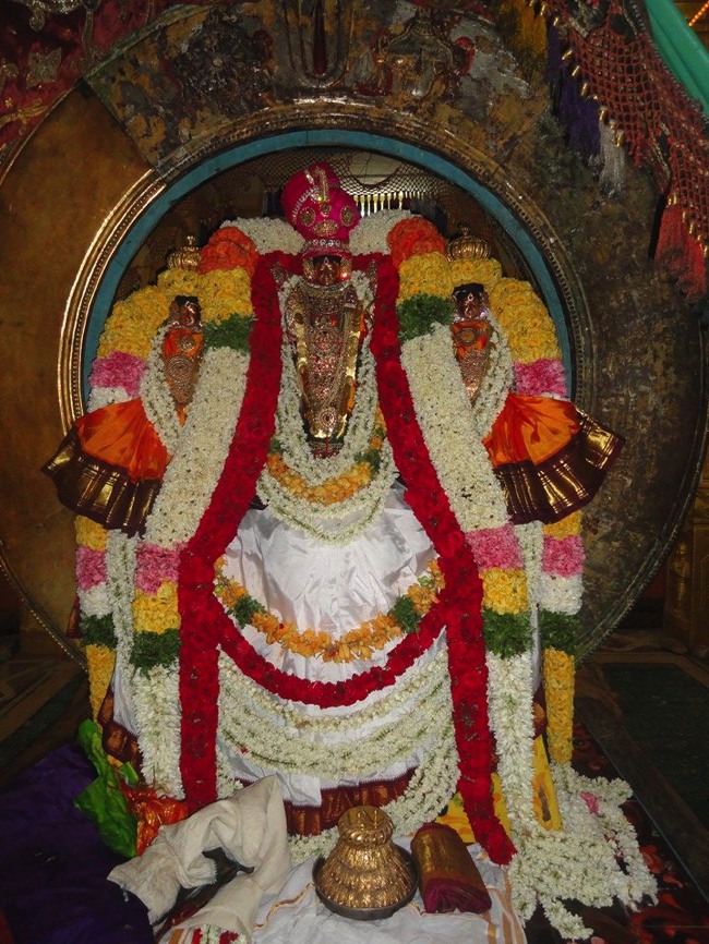 Thiruvahindrapuram Chithirai Brahmotsavam Surya prabhai 2014--02