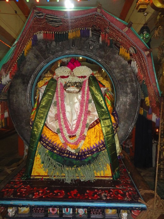 Thiruvahindrapuram Chithirai Brahmotsavam Surya prabhai 2014--03