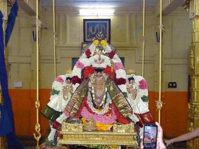 Thiruvahindrapuram Devanatha Perumal Chithirai Brahmotsavam Day 6 Choornabhishekam 2014 -03