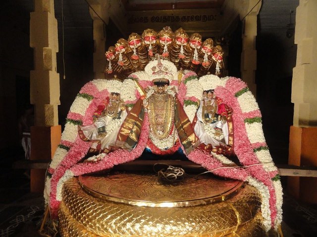 Thiruvahindrapuram Devanatha Perumal Chithirai Brahmotsavam Sesha vahanam 2014 -3