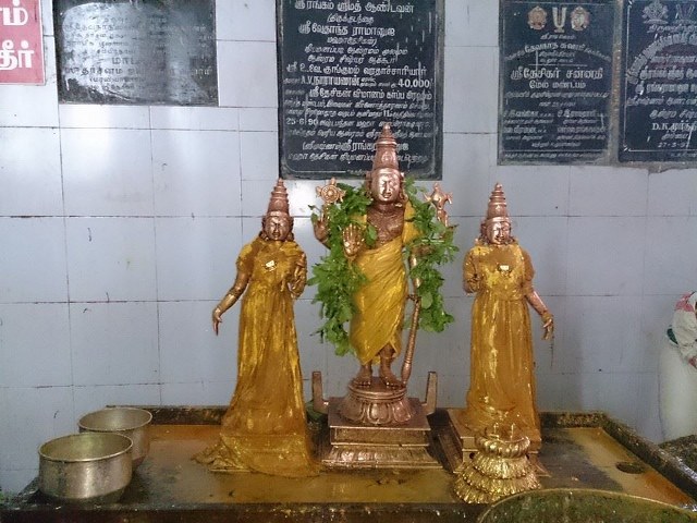 Thiruvahindrapuram Devanatha Perumal Chithirai Brahmotsavam Venugopalan Thirukolam 2014 -3
