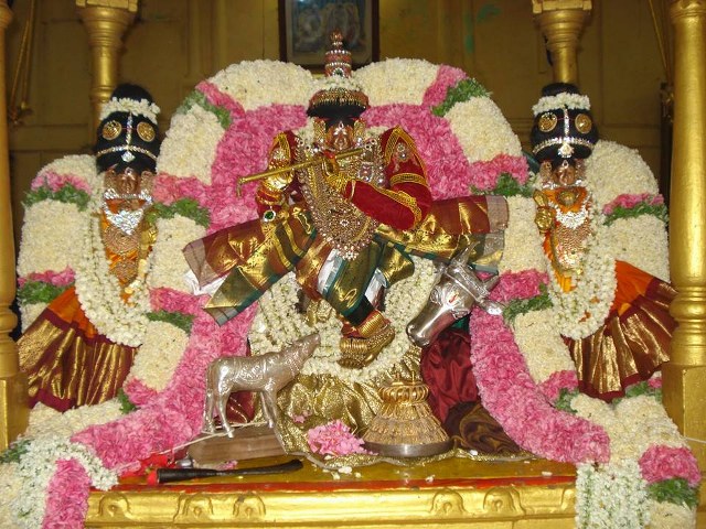 Thiruvahindrapuram Devanatha Perumal Chithirai Brahmotsavam Venugopalan Thirukolam 2014 -4