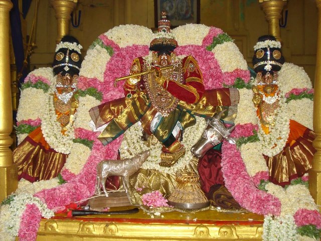 Thiruvahindrapuram Devanatha Perumal Chithirai Brahmotsavam Venugopalan Thirukolam 2014 -6