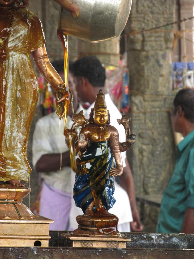 Thiruvahindrapuram_Thirumanjanam_09