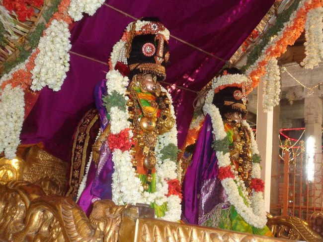 Thiruvallikeni Sri Emperumanar Thiruavathara uthsavam 46