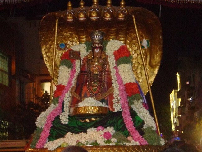 Thiruvallikeni Swami Emperumanar Thiru Avathara Uthsavam-Day 5 -11