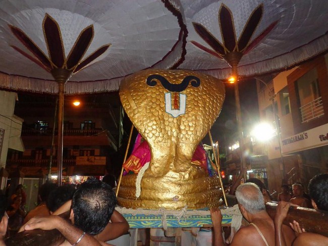 Thiruvallikeni Swami Emperumanar Thiru Avathara Uthsavam-Day 5 -2