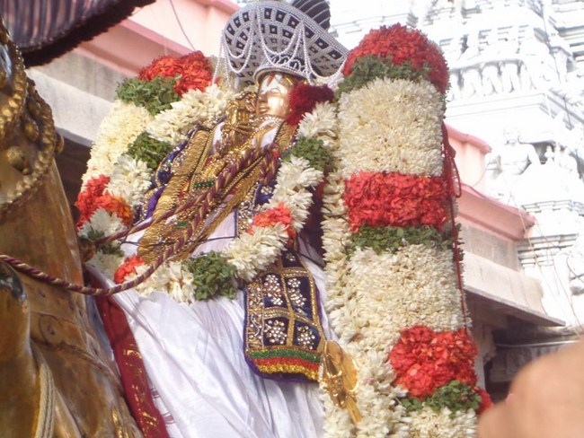 Thiruvallikeni Swami Emperumanar Thiru Avathara Uthsavam-Day 6 -11