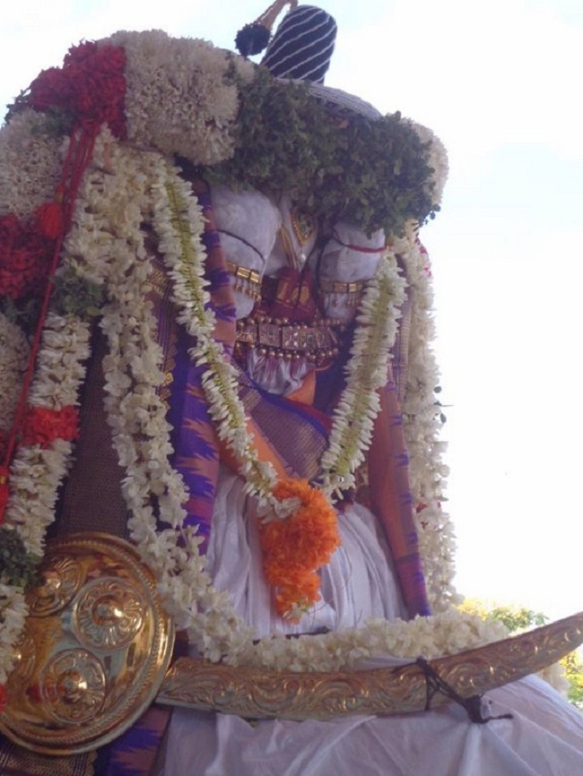 Thiruvallikeni Swami Emperumanar Thiru Avathara Uthsavam-Day 6 -17