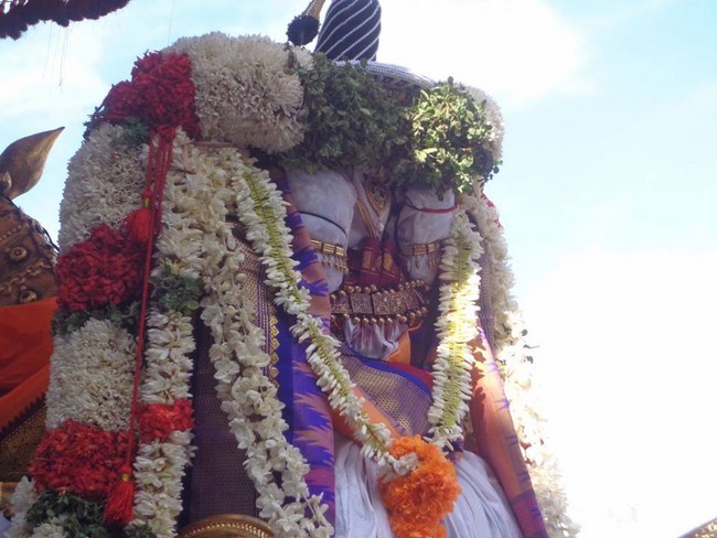 Thiruvallikeni Swami Emperumanar Thiru Avathara Uthsavam-Day 6 -6