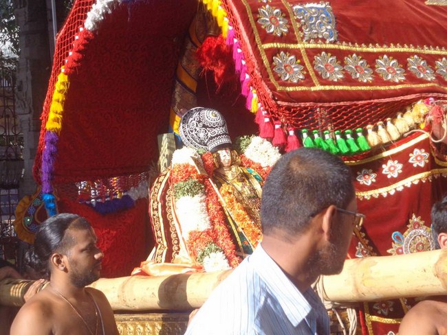 Thiruvallikeni Swami Emperumanar Thiru Avathara Uthsavam-Day 7 -27