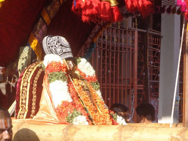 Thiruvallikeni Swami Emperumanar Thiru Avathara Uthsavam-Day 7 -29