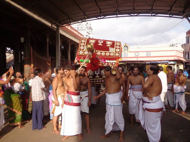 Thiruvallikeni Swami Emperumanar Thiru Avathara Uthsavam-Day 7 -30