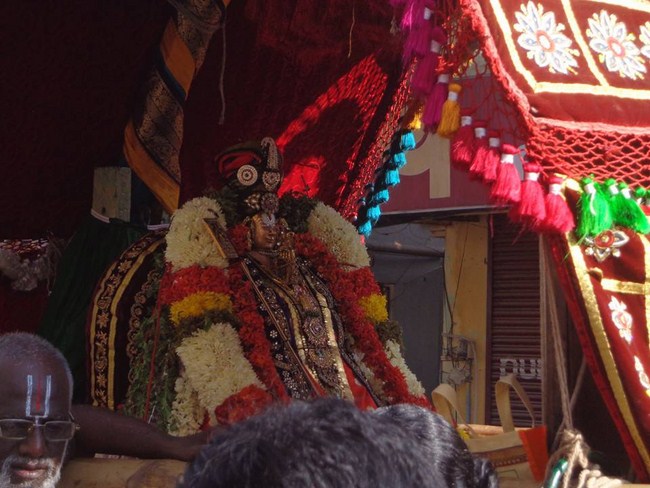 Thiruvallikeni Swami Emperumanar Thiru Avathara Uthsavam-Day 8 -13