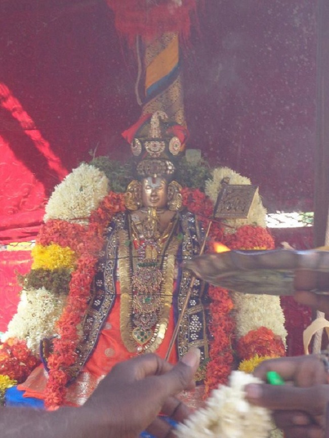 Thiruvallikeni Swami Emperumanar Thiru Avathara Uthsavam-Day 8 -19