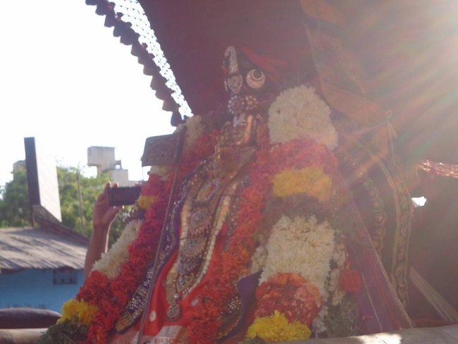 Thiruvallikeni Swami Emperumanar Thiru Avathara Uthsavam-Day 8 -27
