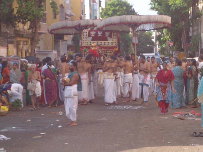 Thiruvallikeni Swami Emperumanar Thiru Avathara Uthsavam-Day 8 -28