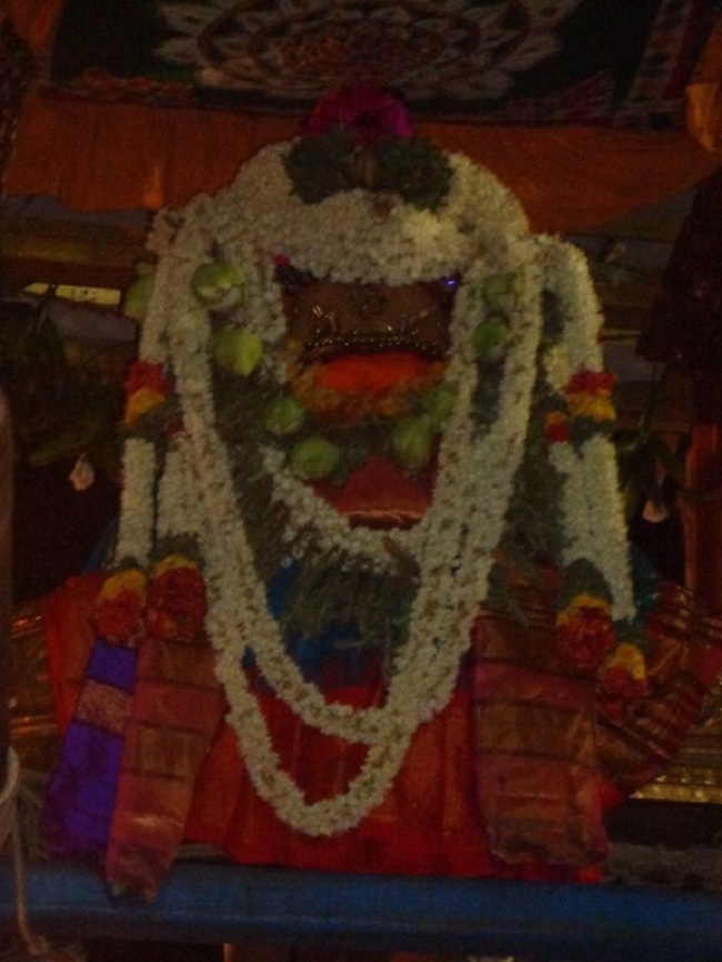 Thiruvallikeni Swami Emperumanar Thiru Avathara Uthsavam-Day 9 -12