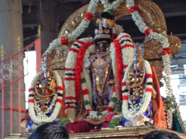 Thiruvallikeni sri madhurakavi azhwar satrumurai21