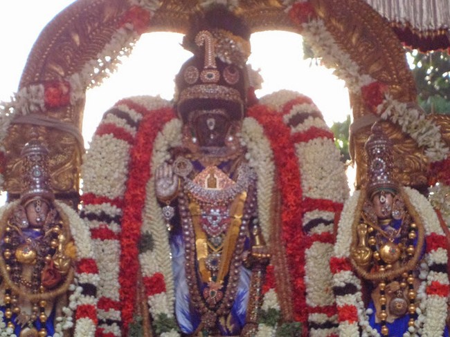 Thiruvallikeni sri madhurakavi azhwar satrumurai48