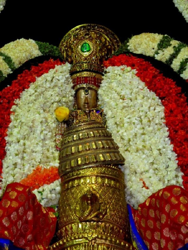 Thiruvallur Sri Veeraraghava Perumal Brahmothsavam Garuda Vahanam 24