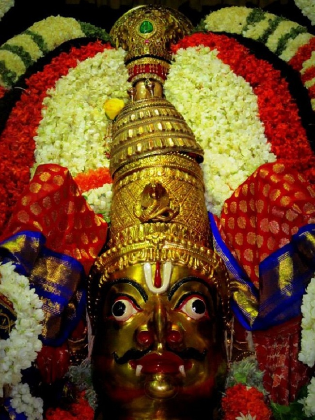 Thiruvallur Sri Veeraraghava Perumal Brahmothsavam Garuda Vahanam 35