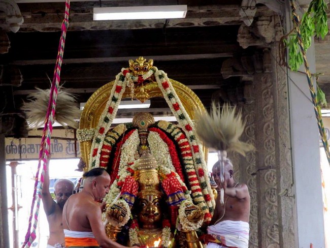 Thiruvallur Sri Veeraraghava Perumal Brahmothsavam Garuda Vahanam 47