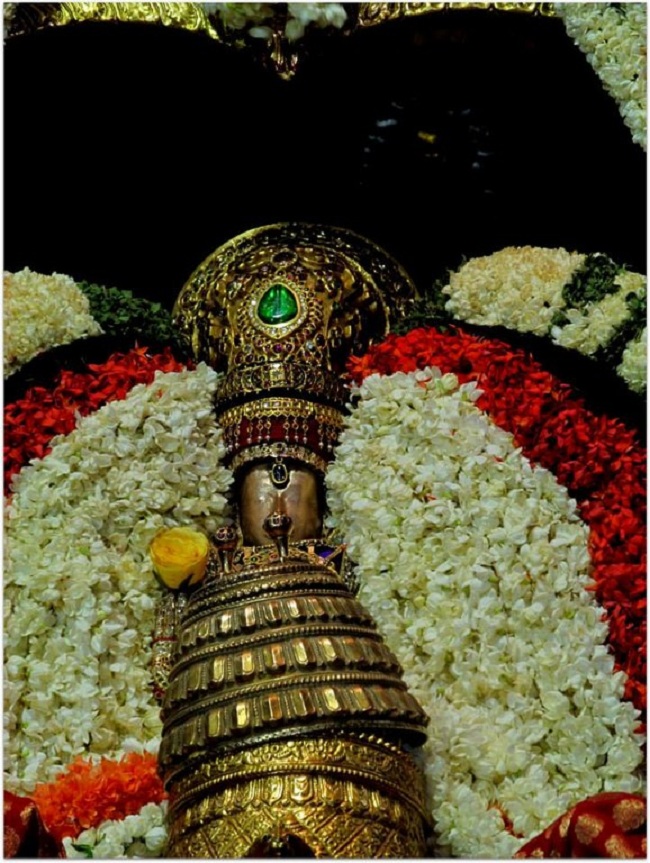 Thiruvallur Sri Veeraraghava Perumal Brahmothsavam Garuda Vahanam 48