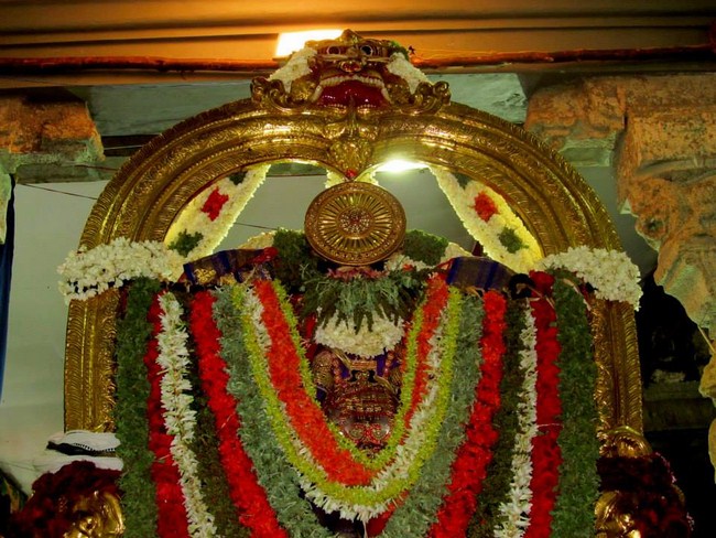 Thiruvallur Sri Veeraraghava Perumal Brahmothsavam Garuda Vahanam 50