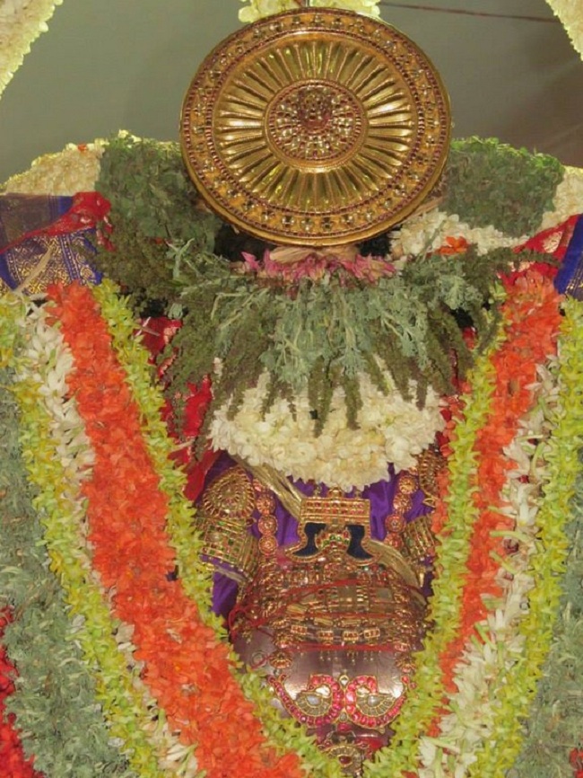 Thiruvallur Sri Veeraraghava Perumal Brahmothsavam Garuda Vahanam 51