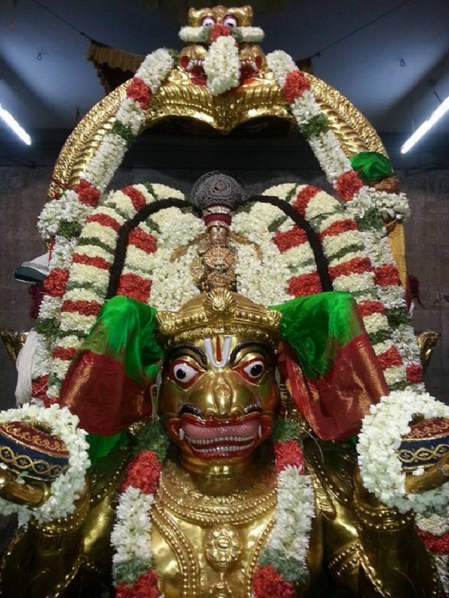 Thiruvallur Sri Veeraraghava Perumal Brahmothsavam Hanumantha Vahanam 1