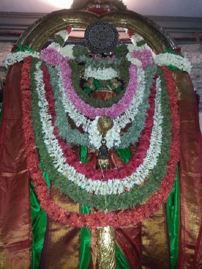 Thiruvallur Sri Veeraraghava Perumal Brahmothsavam Hanumantha Vahanam 13