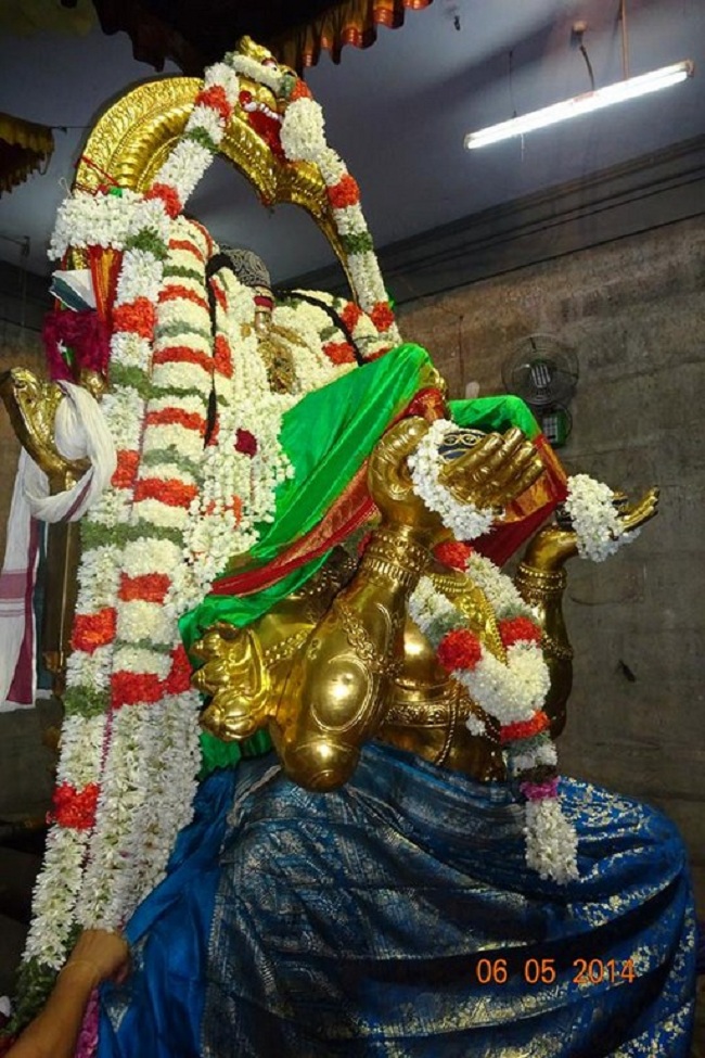 Thiruvallur Sri Veeraraghava Perumal Brahmothsavam Hanumantha Vahanam 18