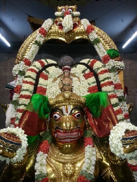 Thiruvallur Sri Veeraraghava Perumal Brahmothsavam Hanumantha Vahanam 26
