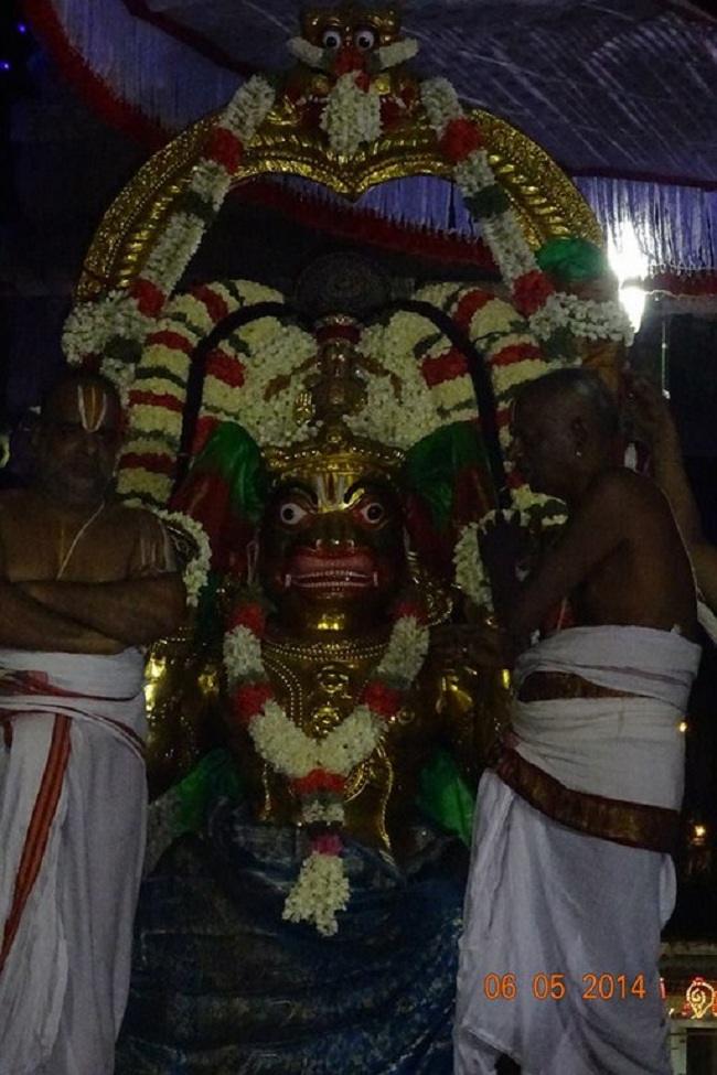 Thiruvallur Sri Veeraraghava Perumal Brahmothsavam Hanumantha Vahanam 29