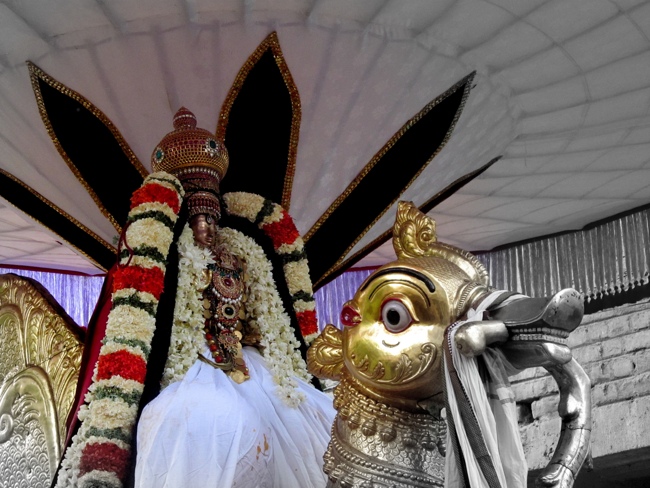 Thiruvallur Sri Veeraraghava Perumal Chithirai Brahmotsavam Day 2 Morning 05-05-2014    13