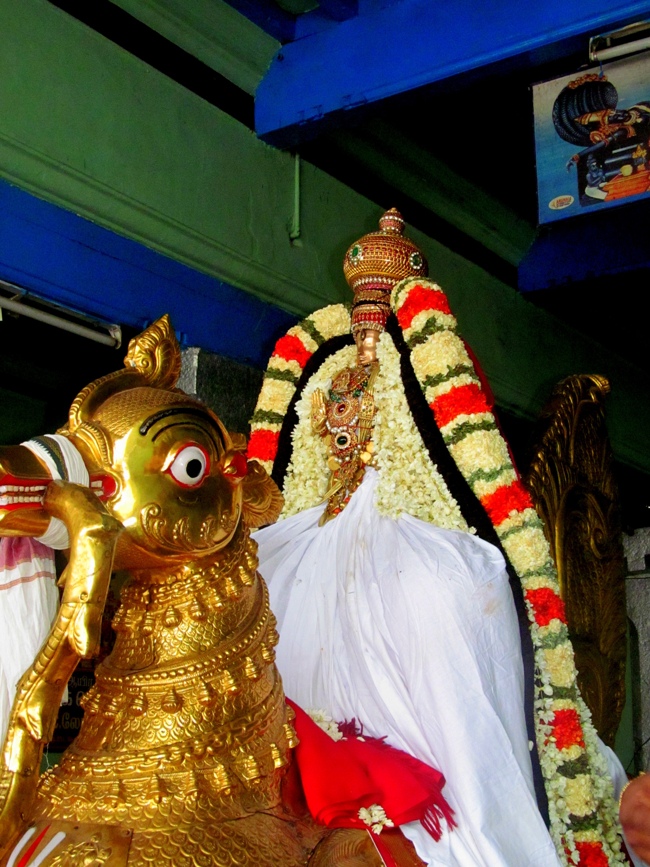 Thiruvallur Sri Veeraraghava Perumal Chithirai Brahmotsavam Day 2 Morning 05-05-2014    15