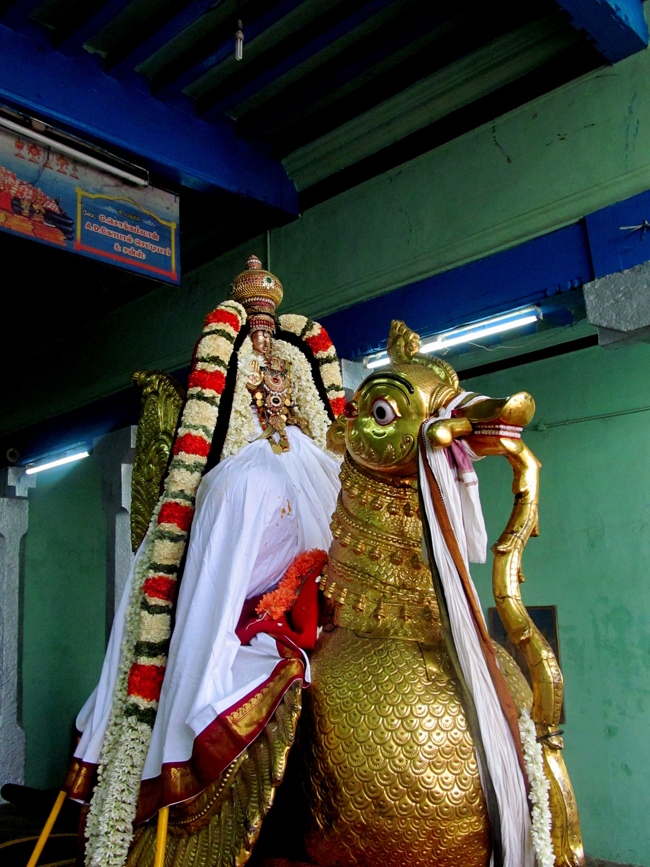 Thiruvallur Sri Veeraraghava Perumal Chithirai Brahmotsavam Day 2 Morning 05-05-2014    20