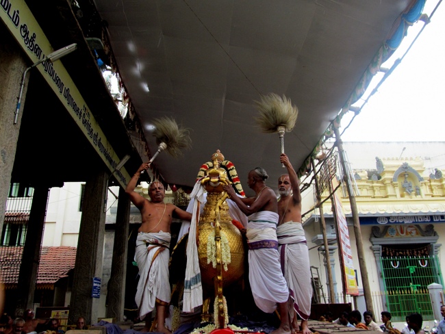 Thiruvallur Sri Veeraraghava Perumal Chithirai Brahmotsavam Day 2 Morning 05-05-2014    22