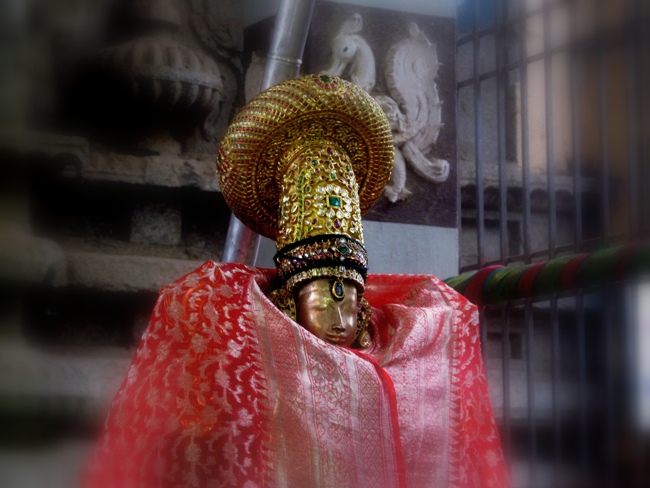 Thiruvallur Sri Veeraraghava Perumal Chithirai Brahmotsavam Day 2 Night 05-05-2014    08