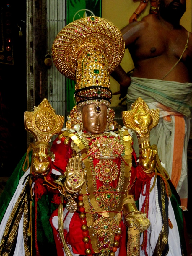 Thiruvallur Sri Veeraraghava Perumal Chithirai Brahmotsavam Day 2 Night 05-05-2014    33