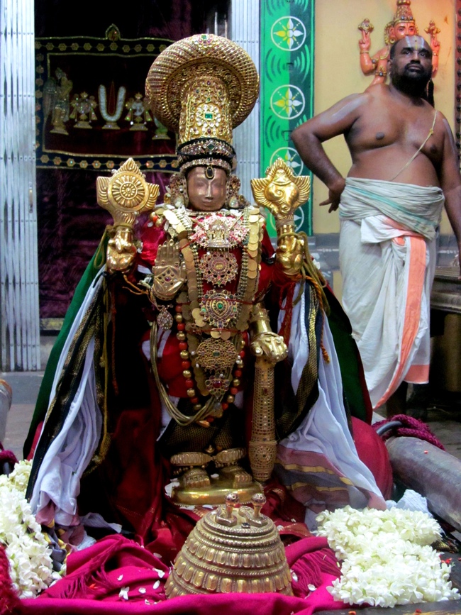 Thiruvallur Sri Veeraraghava Perumal Chithirai Brahmotsavam Day 2 Night 05-05-2014    34