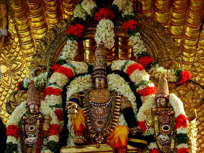Thiruvallur Sri Veeraraghava Perumal Chithirai Brahmotsavam Day 4 Morning 07-05-2014    07