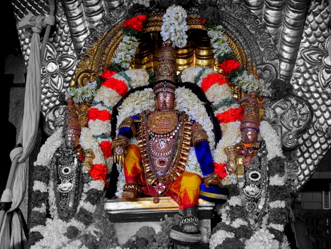 Thiruvallur Sri Veeraraghava Perumal Chithirai Brahmotsavam Day 4 Morning 07-05-2014    12