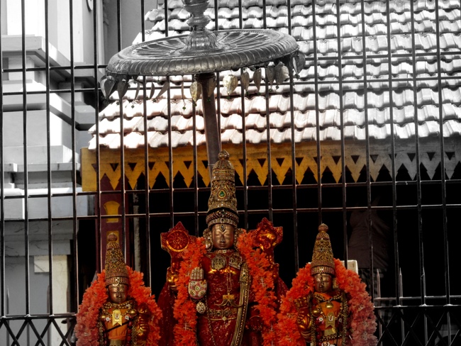 Thiruvallur Sri Veeraraghava Perumal Chithirai Brahmotsavam Day 4 Morning 07-05-2014    30
